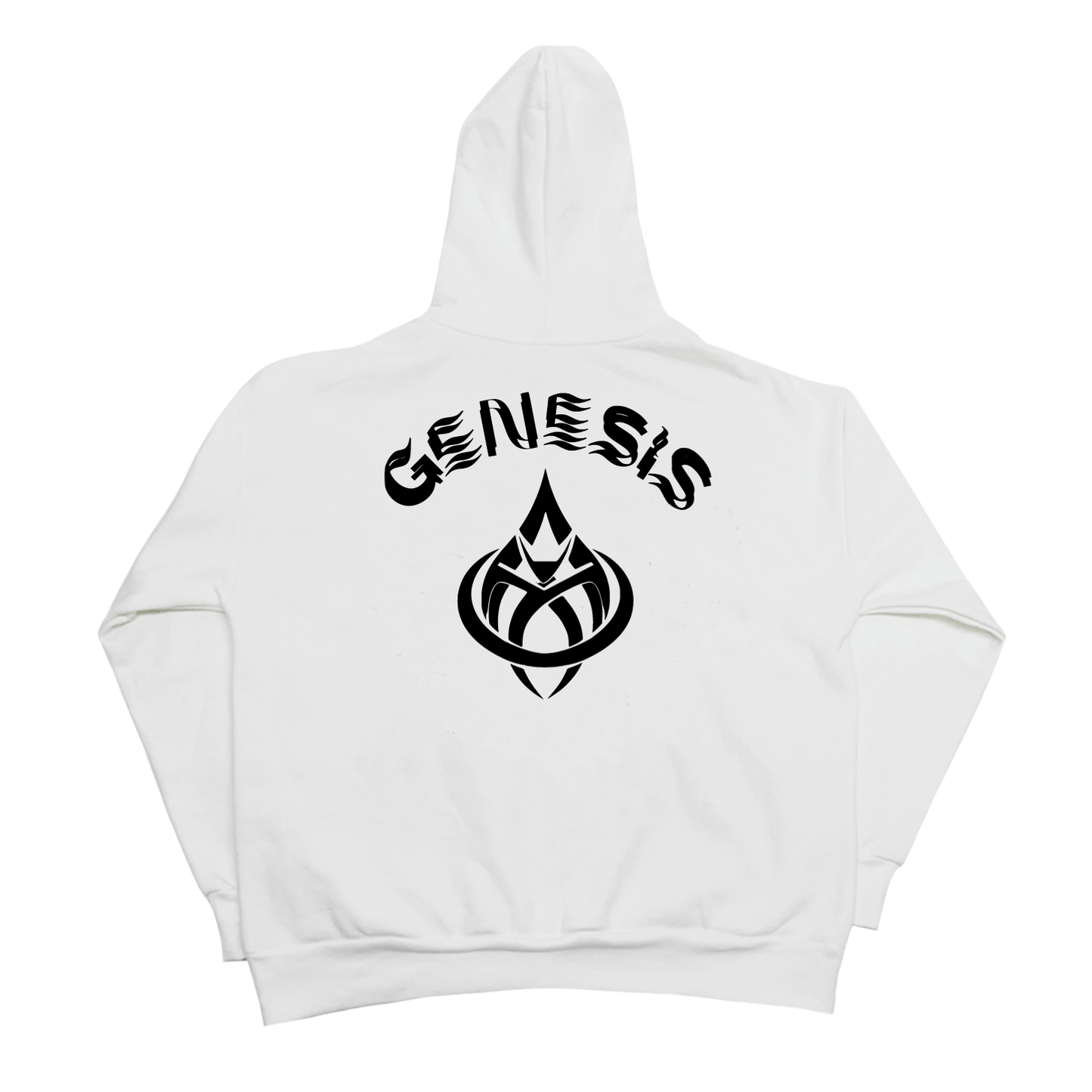 Philippians 4:13 Hoodie